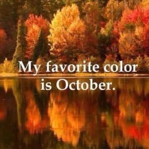 Meet your Posher, Debra